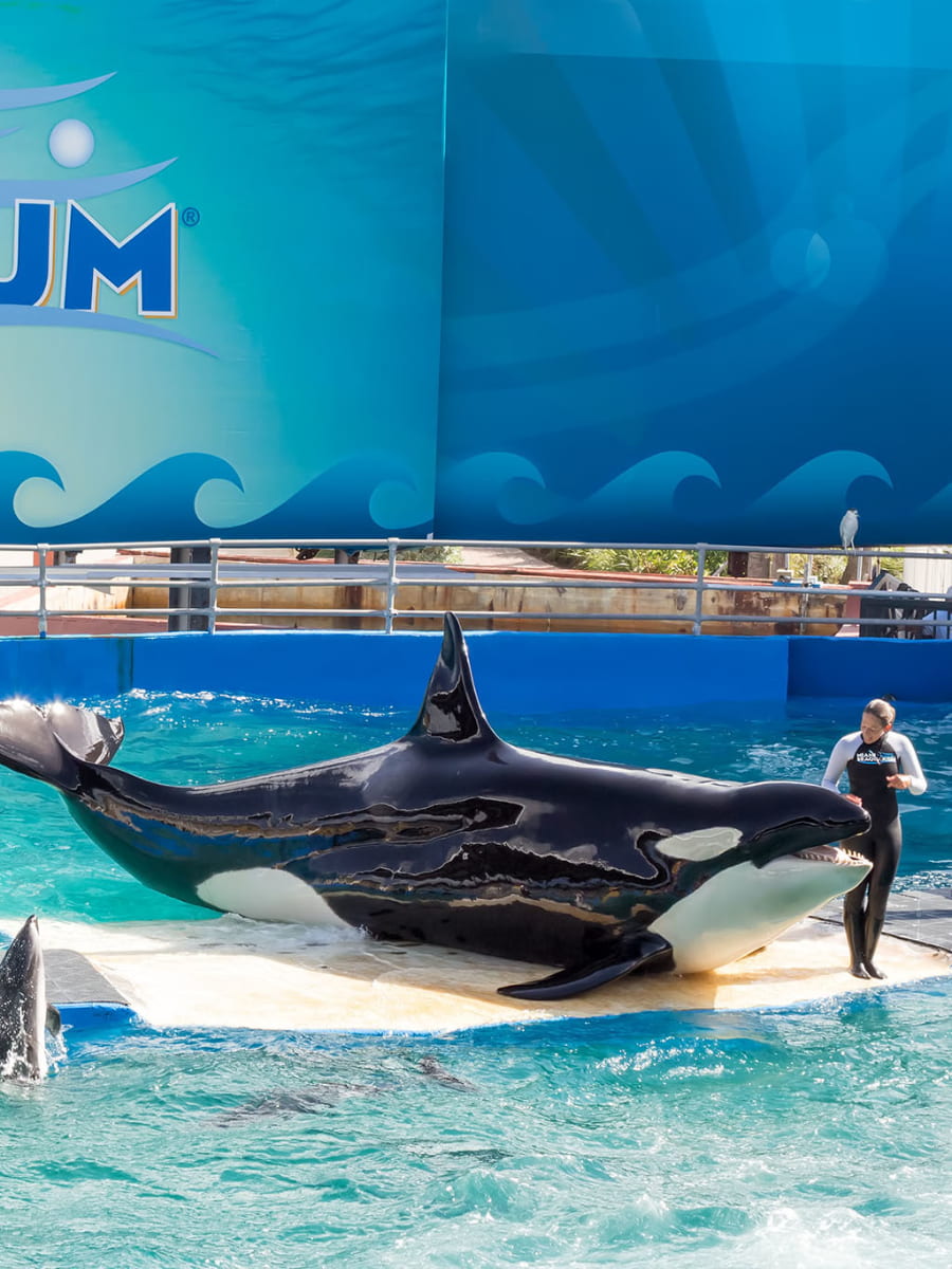 Miami Seaquarium, Miami