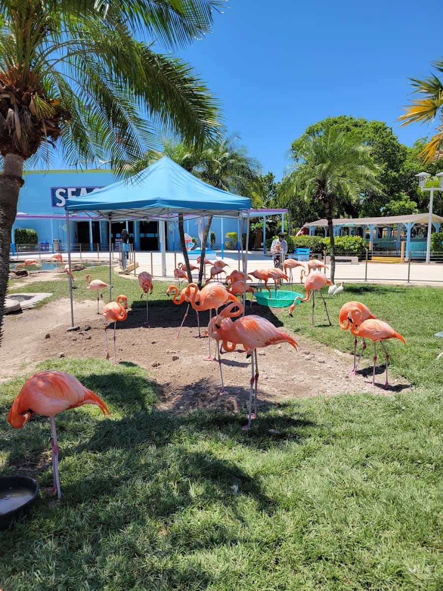 Miami Seaquarium, Miami