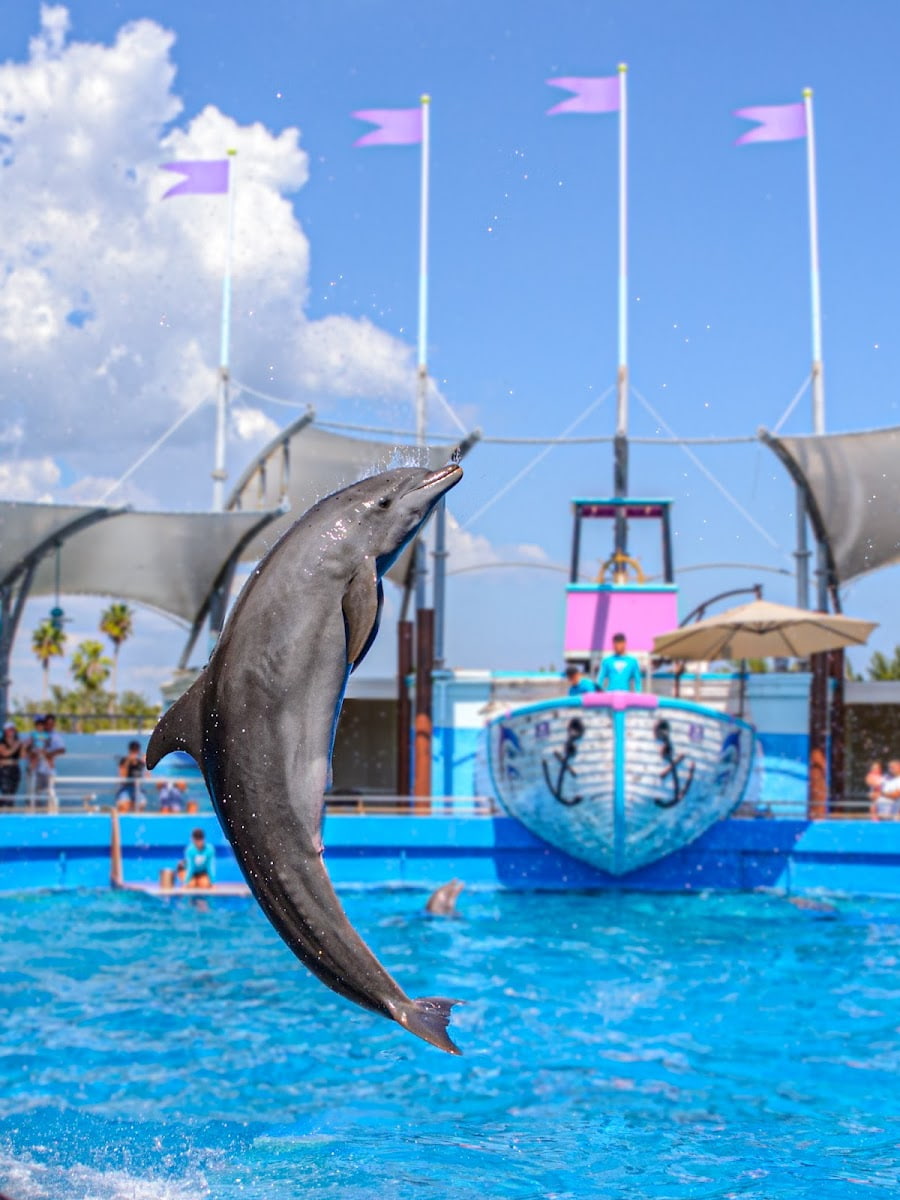 Miami Seaquarium, Miami