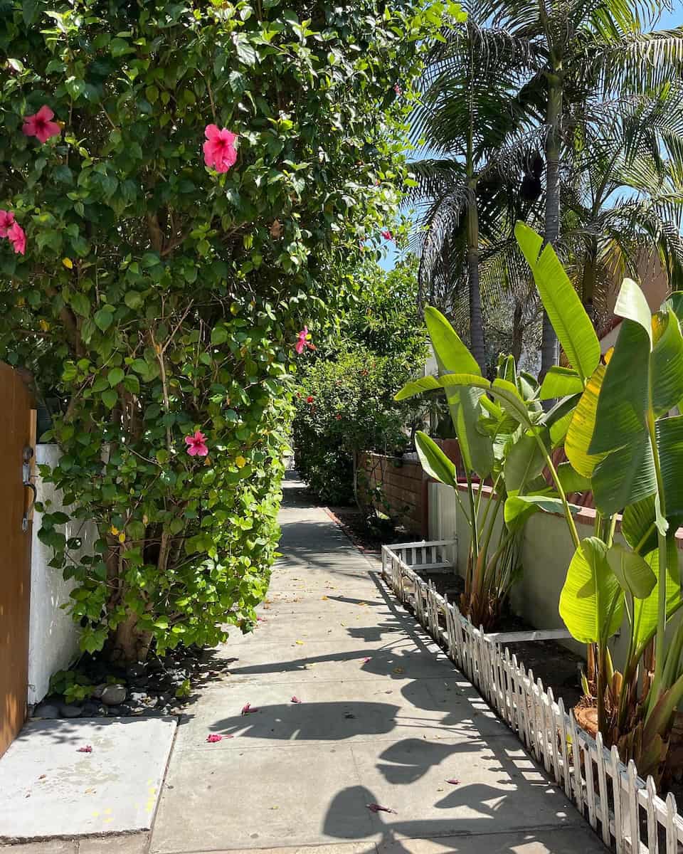 Mission Beach, San Diego