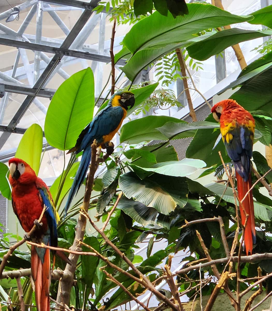 Montreal Biodome