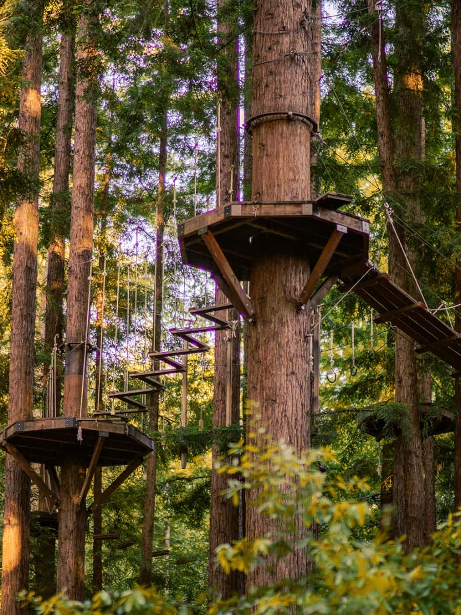 Mount Hermon Adventures, USA