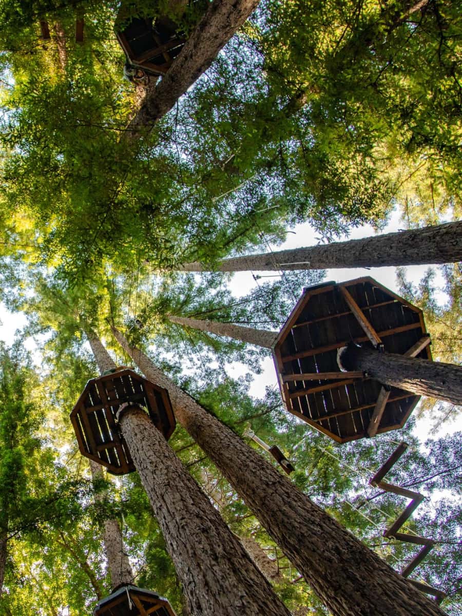 Mount Hermon Adventures, USA