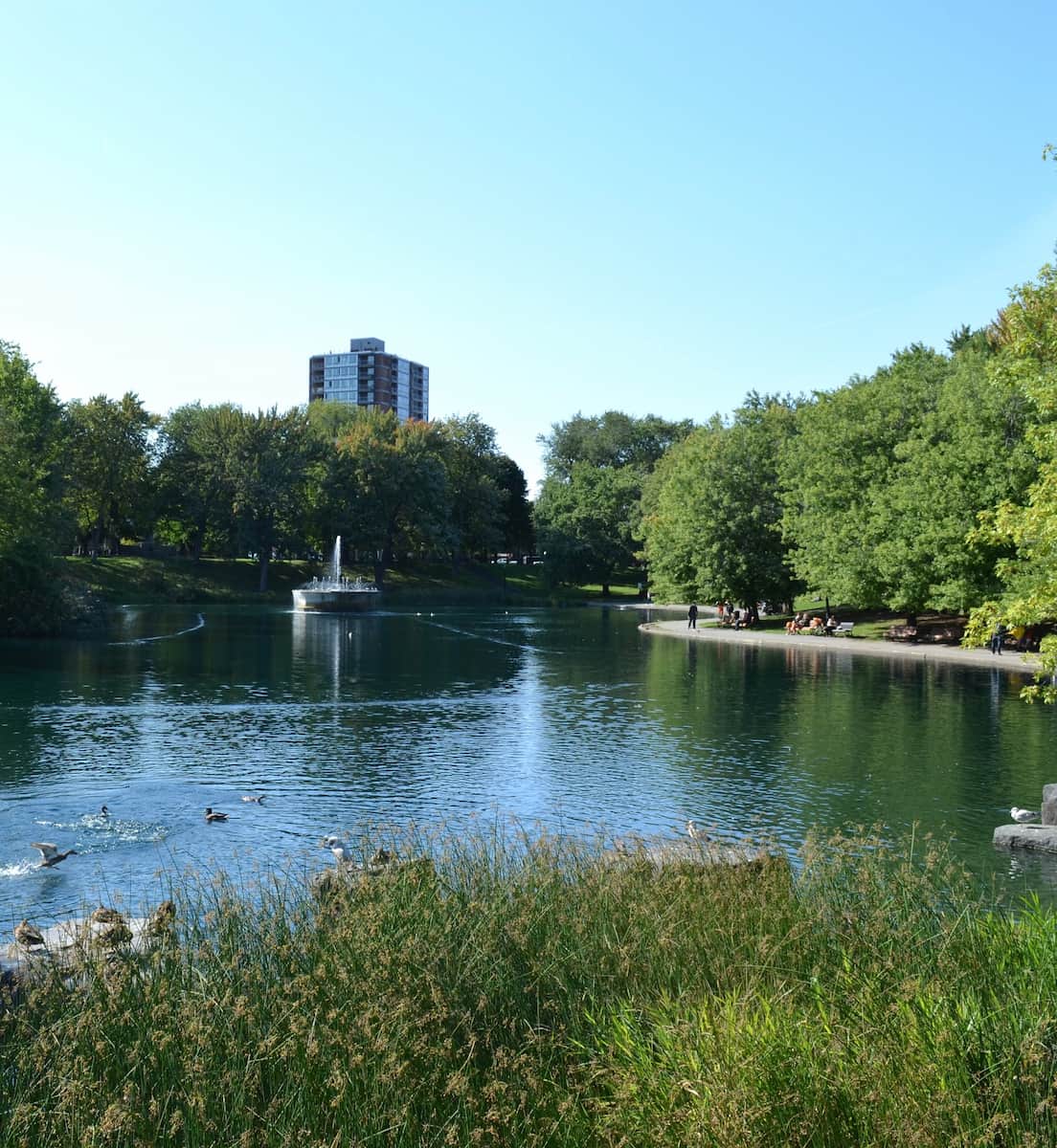 Mount Royal Park Montreal