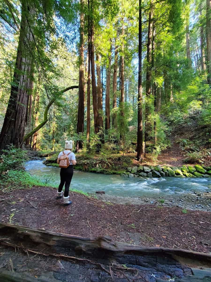 Muir Woods National Monument, California