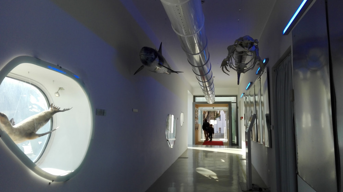 Museo del Mare, Pescara