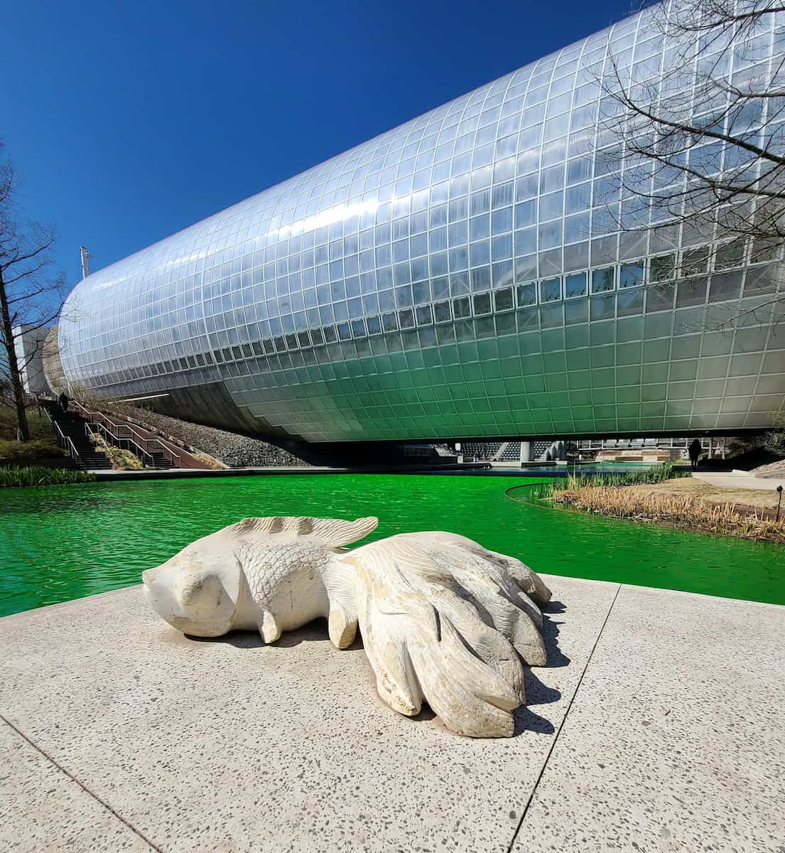 Myriad Botanical Gardens, Oklahoma City
