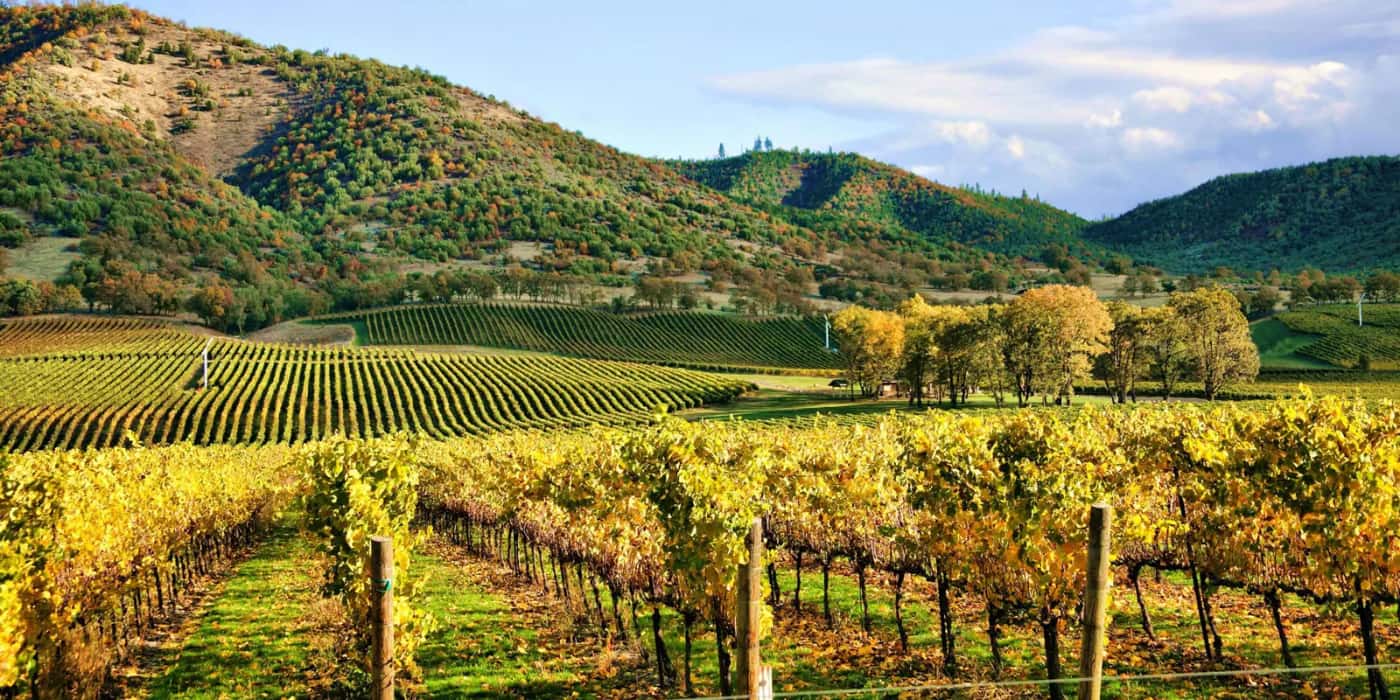 Napa Valley, California