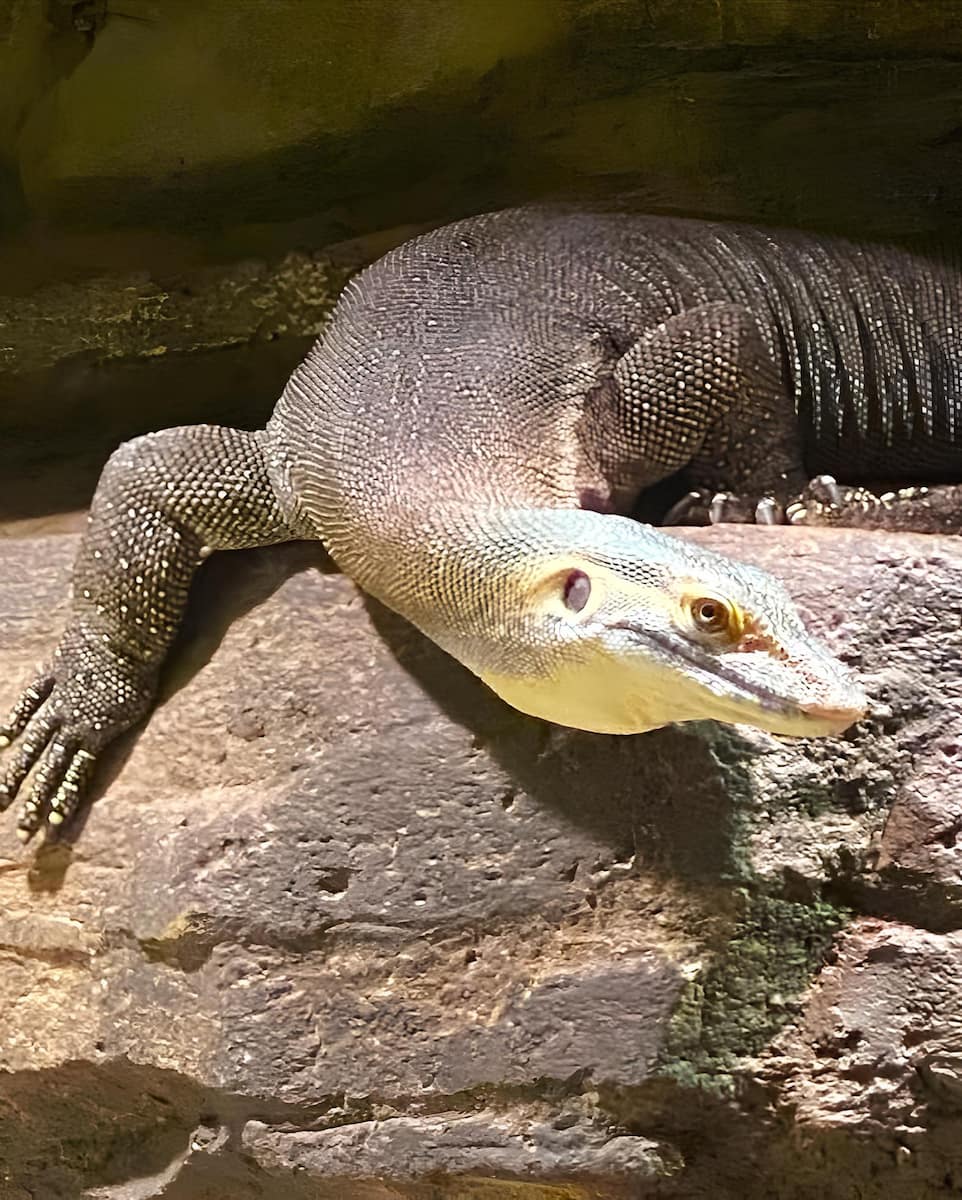National Aquarium, Baltimore