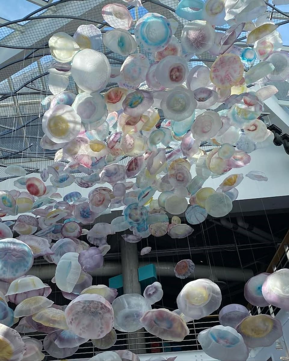 National Aquarium, Baltimore