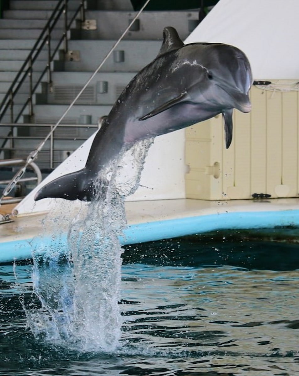 National Aquarium, Baltimore