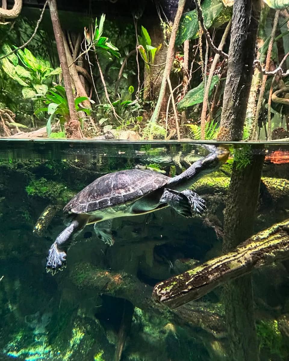 National Aquarium, Baltimore