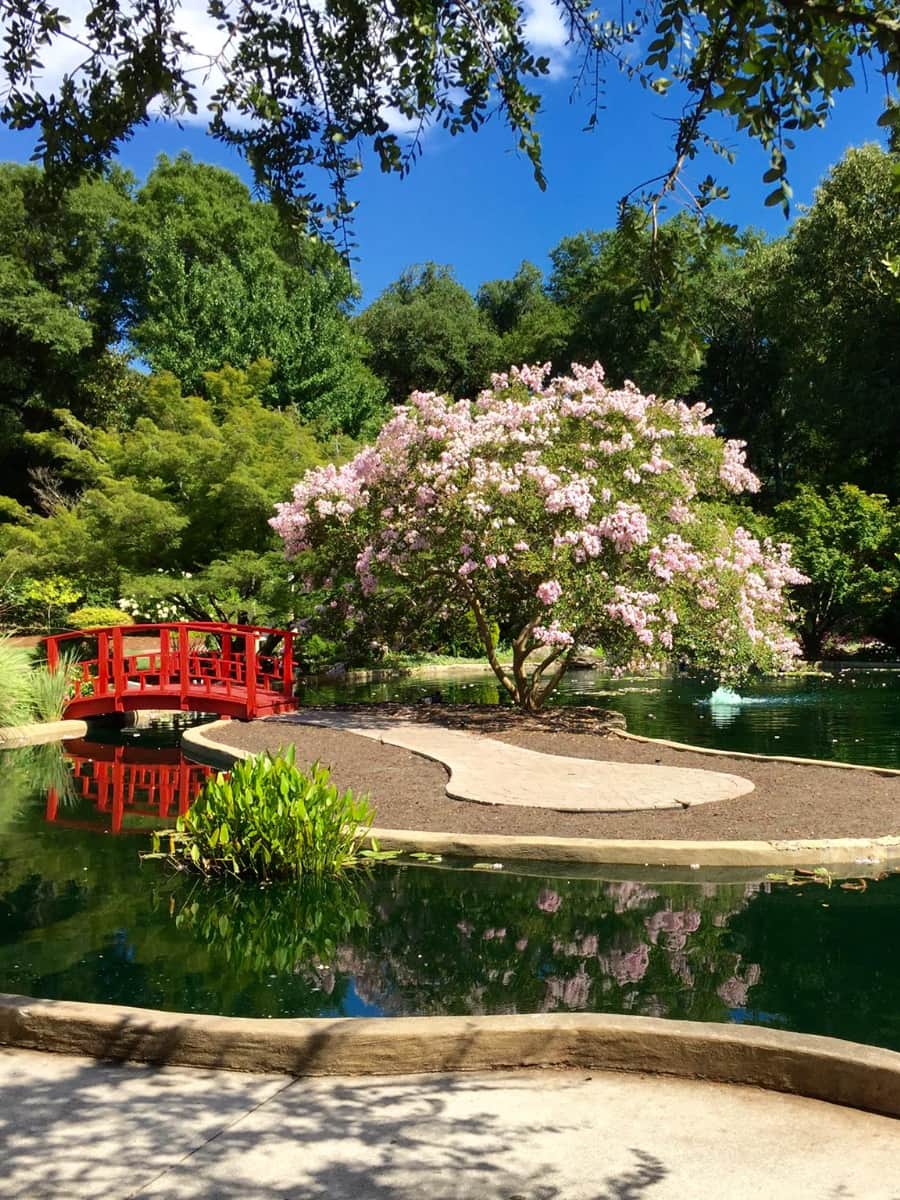 New Hanover County Arboretum, Wilmington