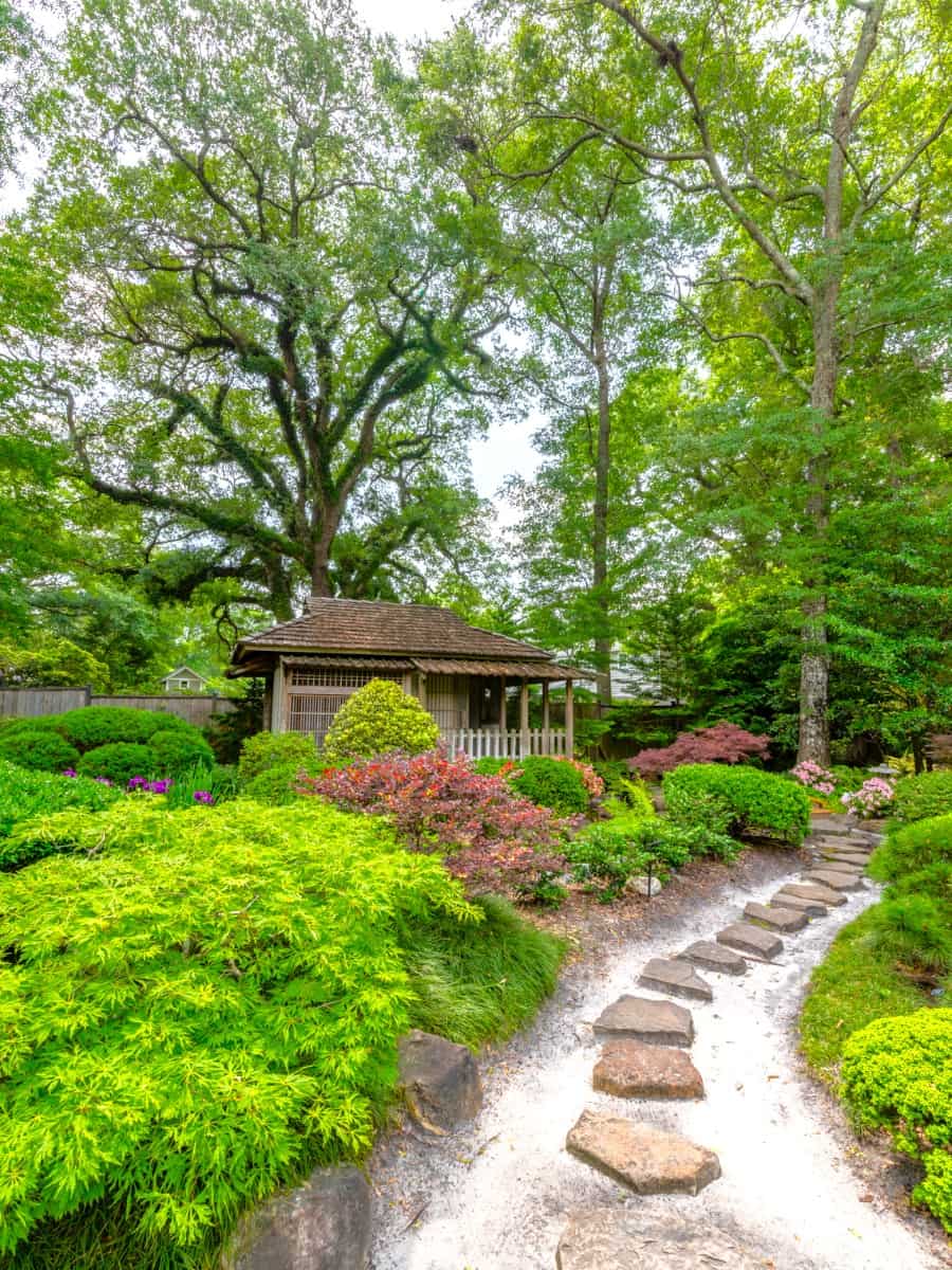 New Hanover County Arboretum, Wilmington