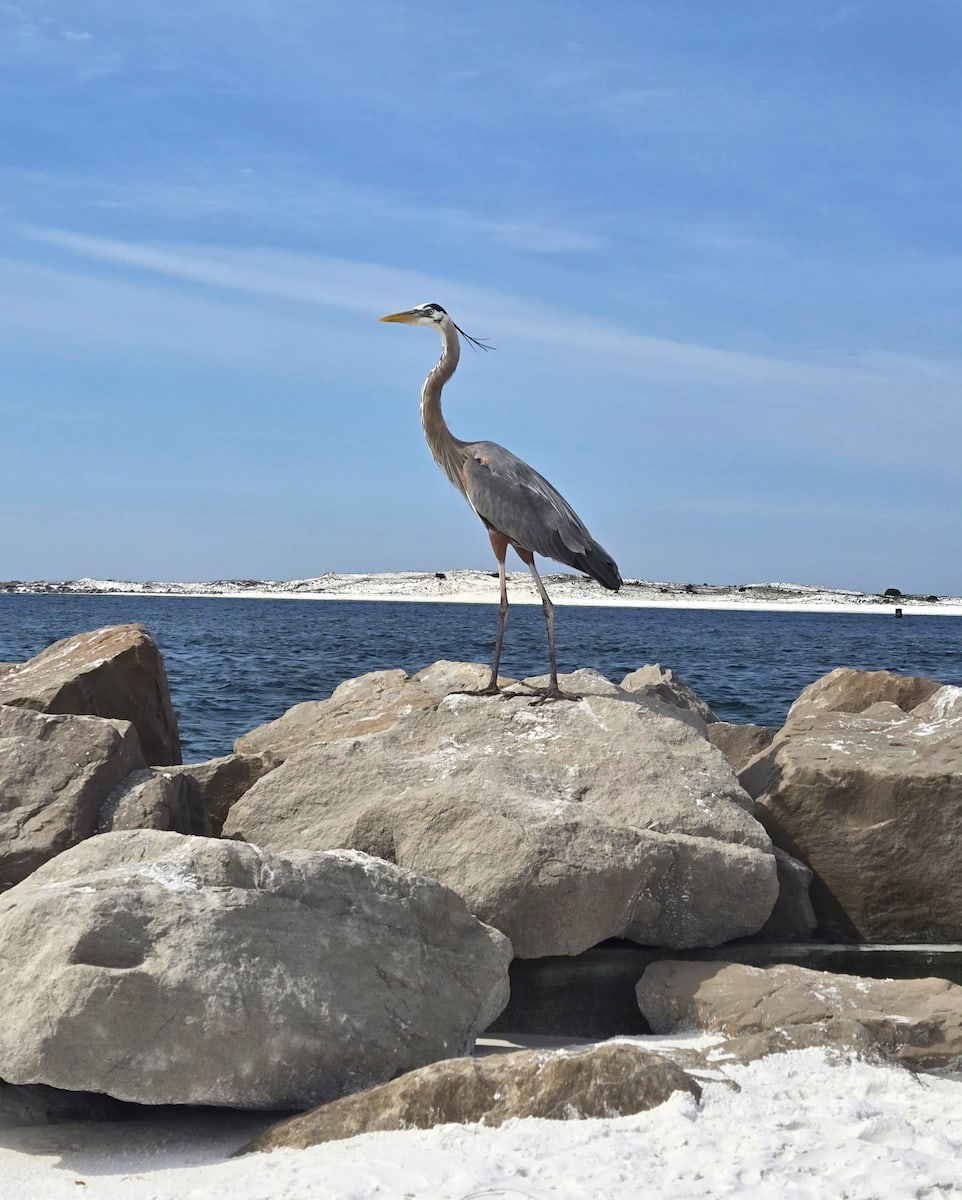 Norriego Point Beach Escape, FL