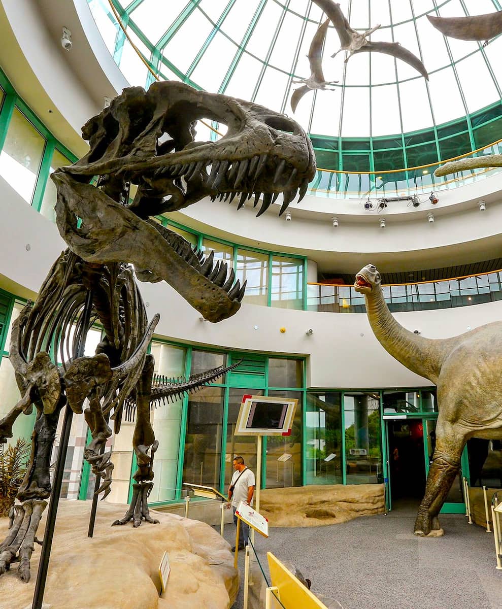 North Carolina Museum of Natural Sciences, Raleigh