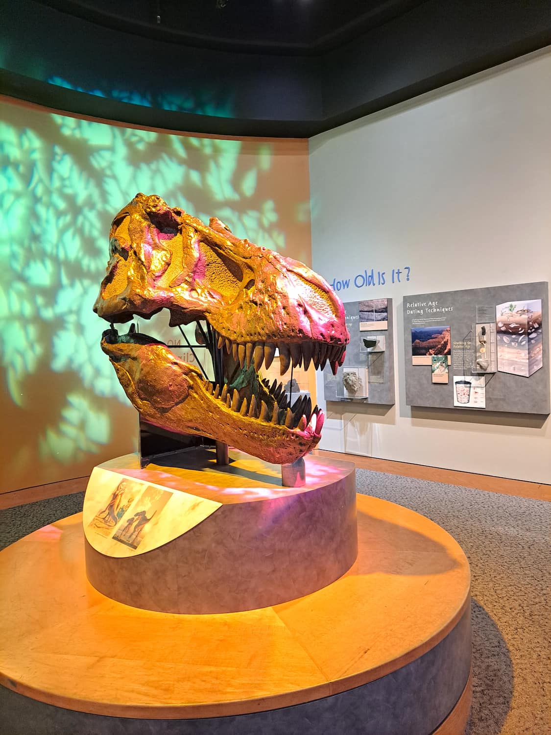North Carolina Museum of Natural Sciences, Raleigh