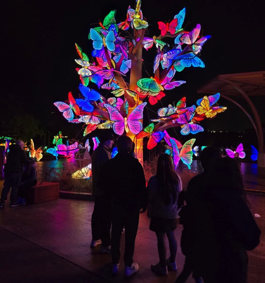 Oklahoma City Zoo Overnight Adventures