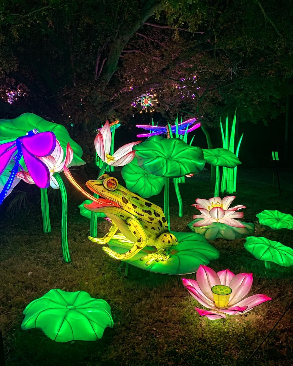 Oklahoma City Zoo Overnight Adventures