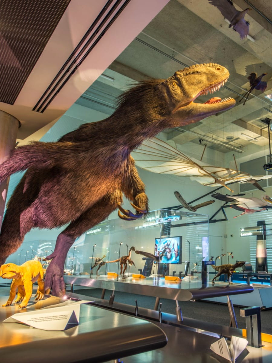 Inside of Phillip and Patricia Frost Museum of Science, Miami