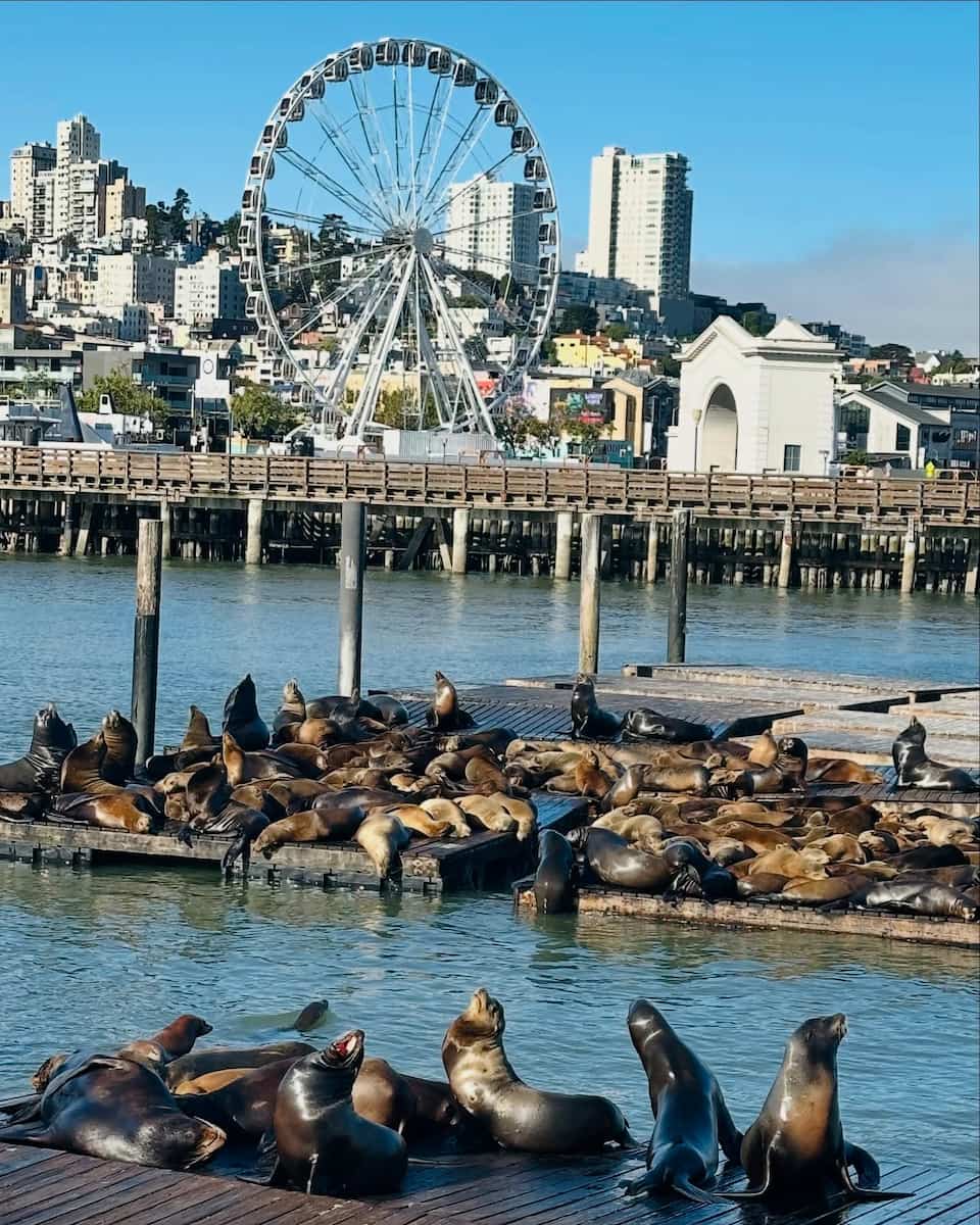 Pier 39, San Francisco