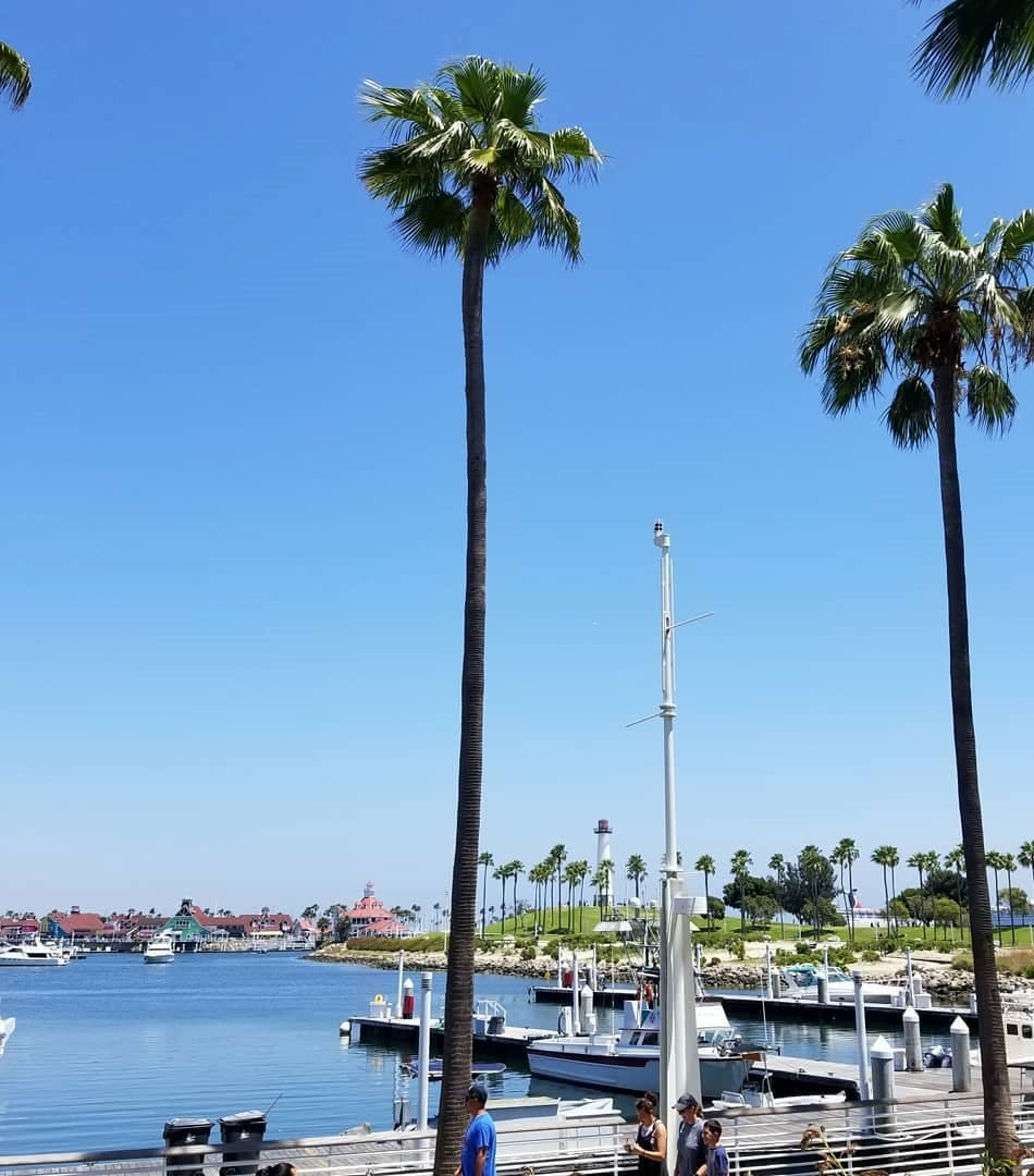 Pine Avenue & City Center, Long Beach