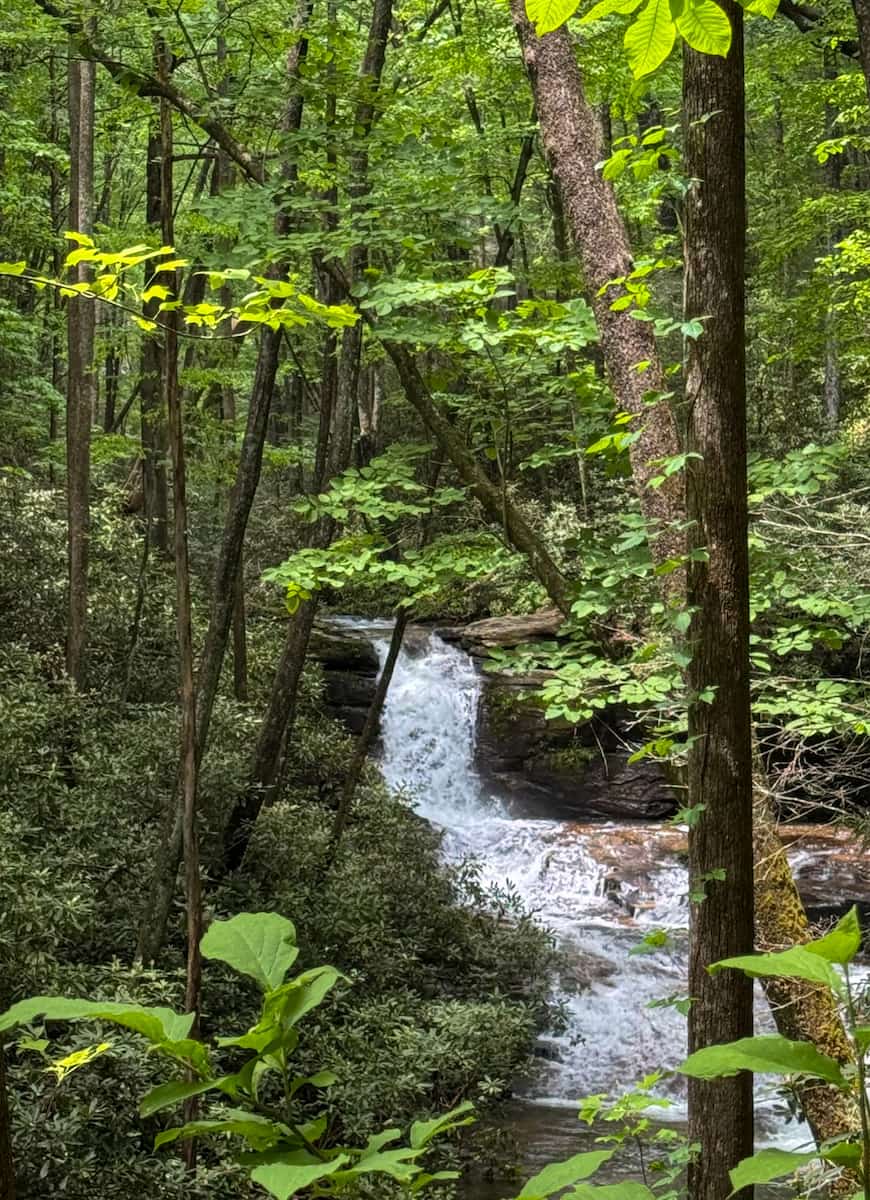 Raven Cliffs Trailhead, Helen