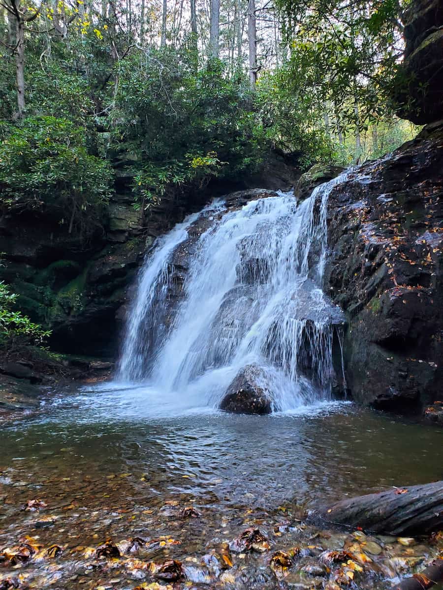 Raven Cliffs Trailhead, Helen