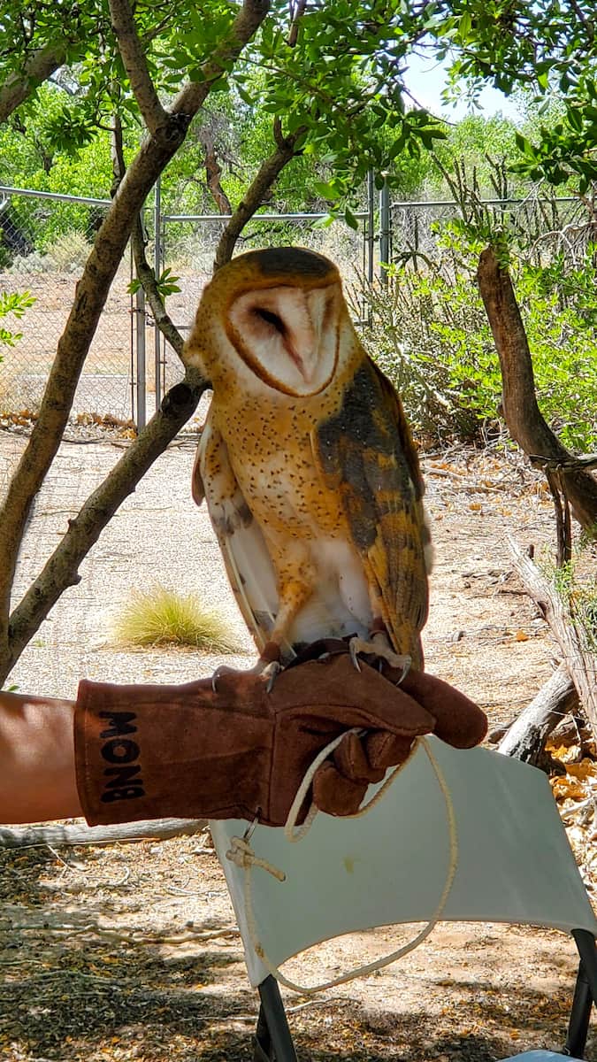 Rio Grande Nature Center State Park, Albuquerque