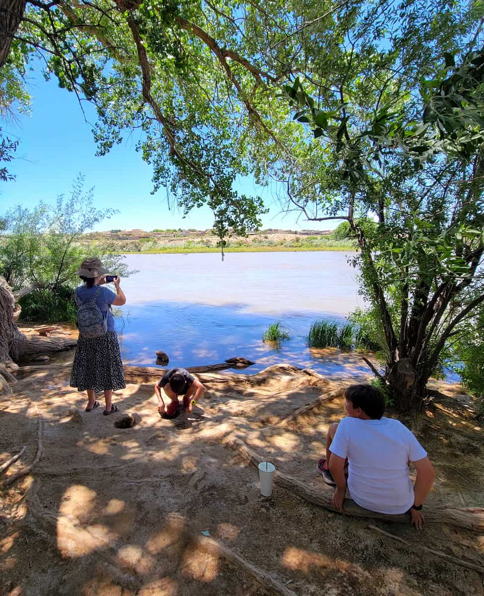 Rio Grande Nature Center State Park, Albuquerque