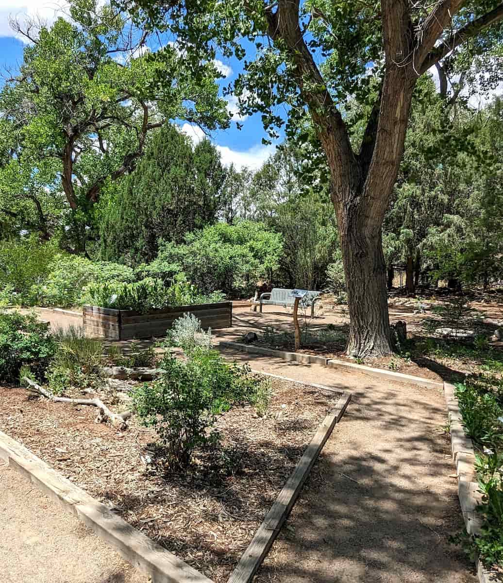 Rio Grande Nature Center State Park, Albuquerque