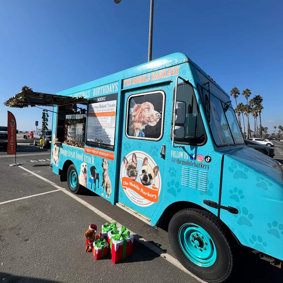 Rosie's Dog Beach, Long Beach