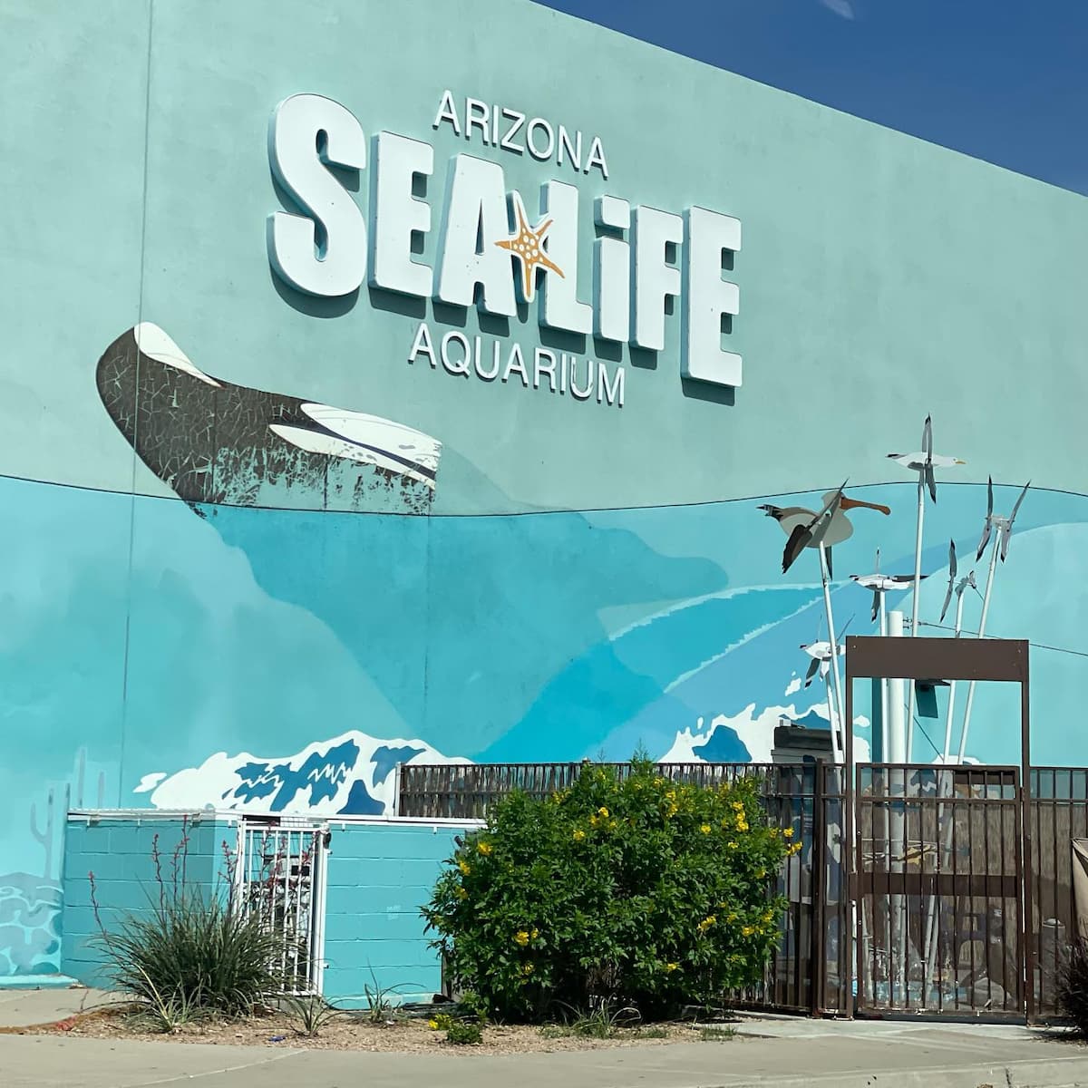 SEA LIFE Aquarium Arizona