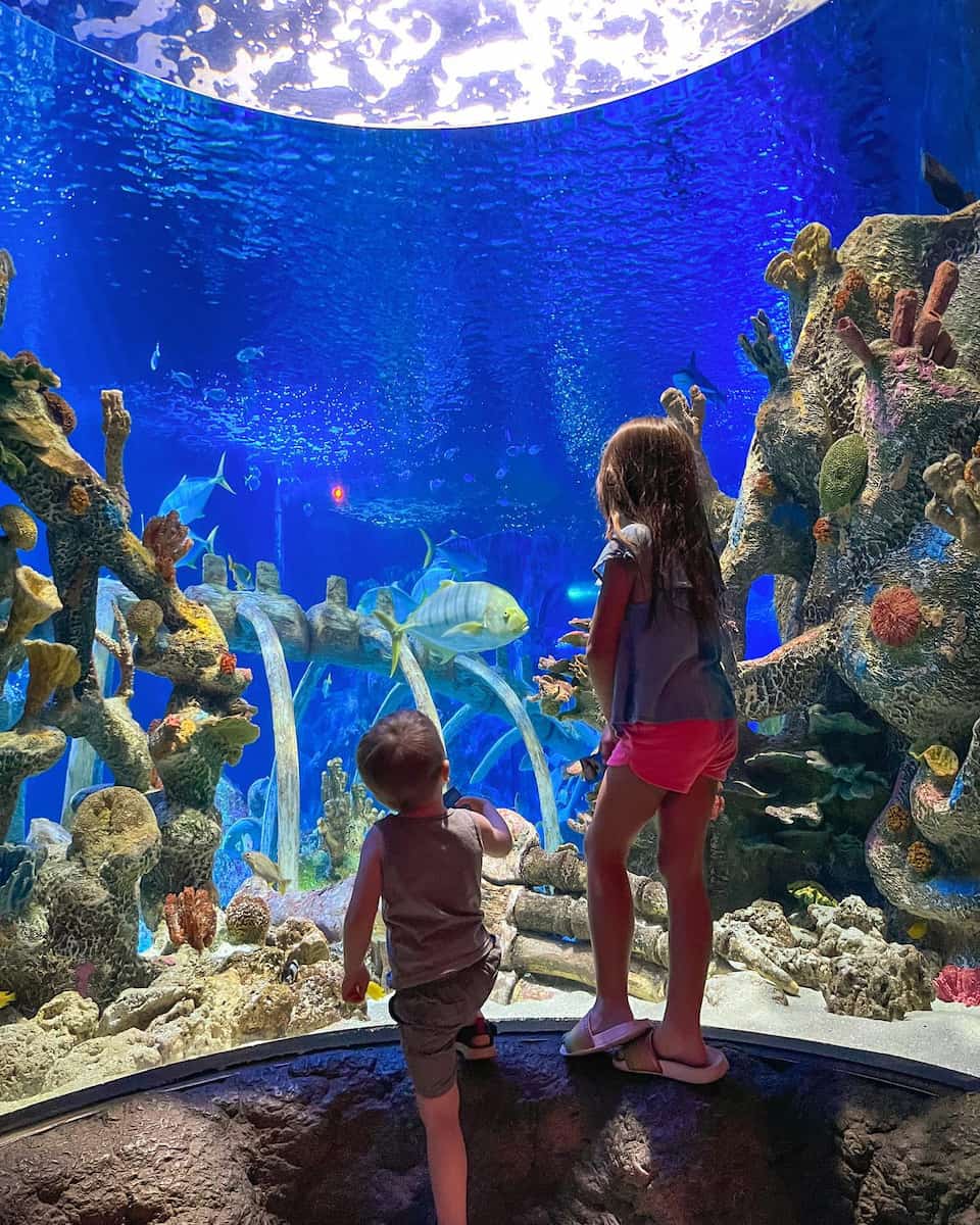 SEA LIFE Aquarium Arizona