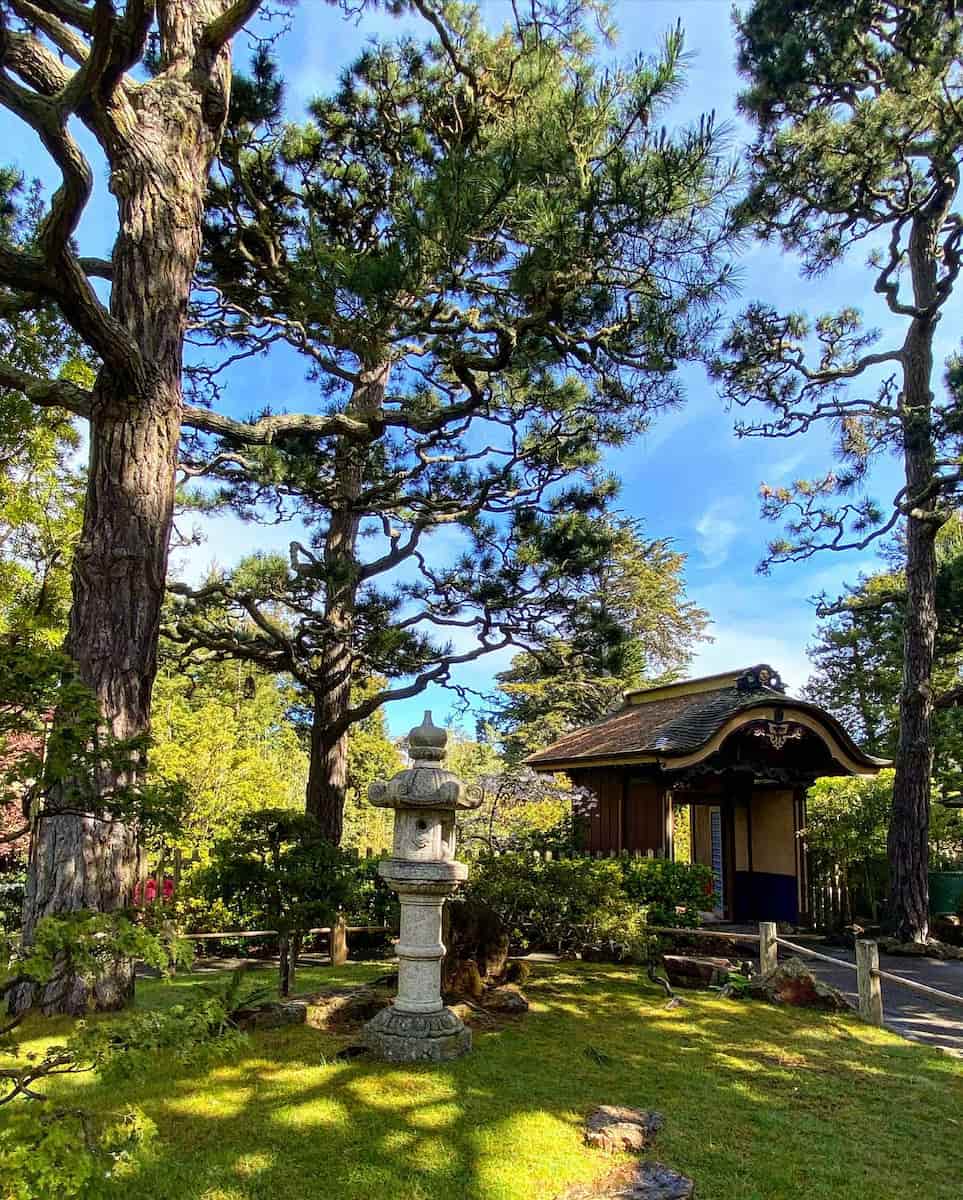 San Francisco Botanical Garden