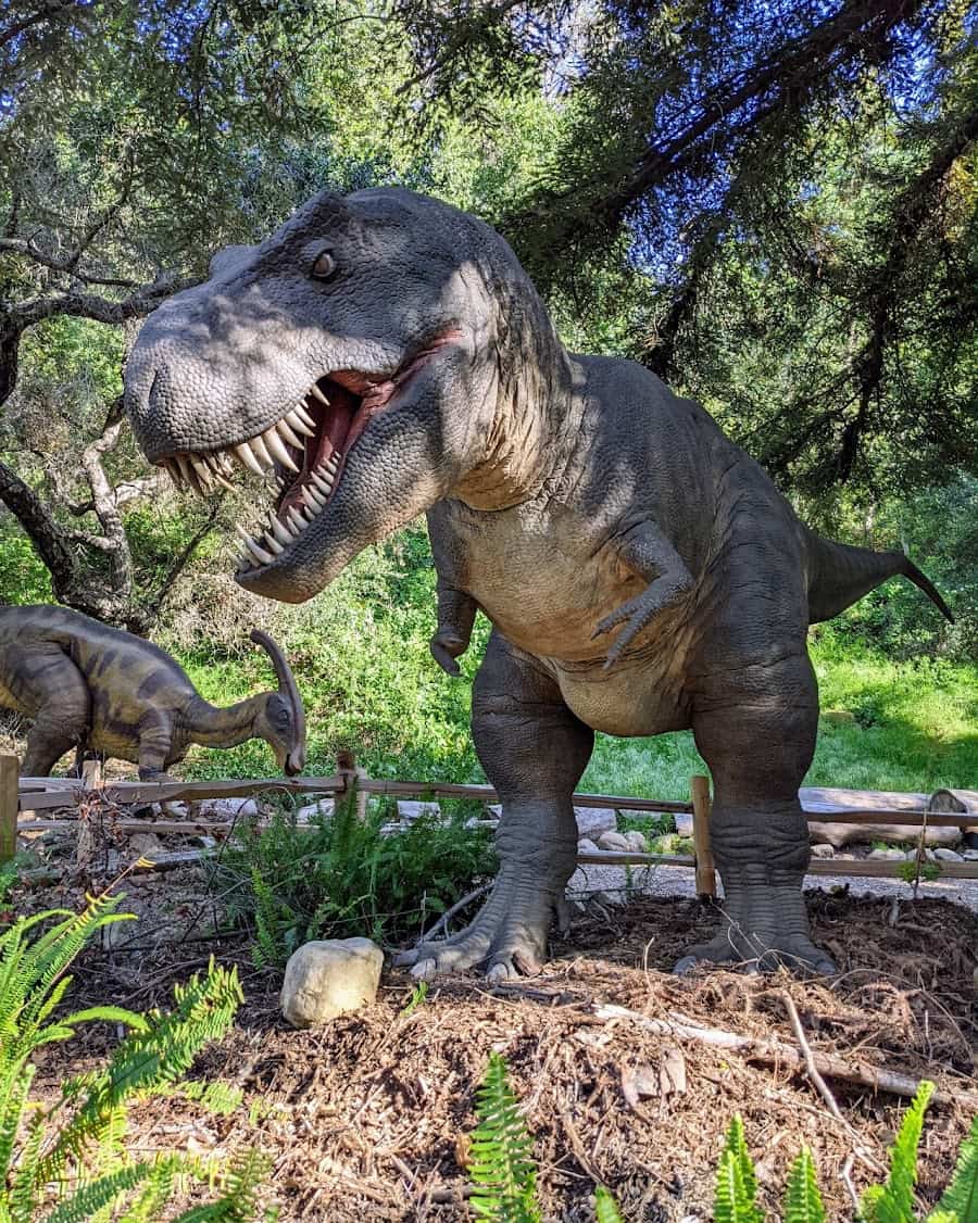 Santa Barbara Museum of Natural History, Santa Barbara