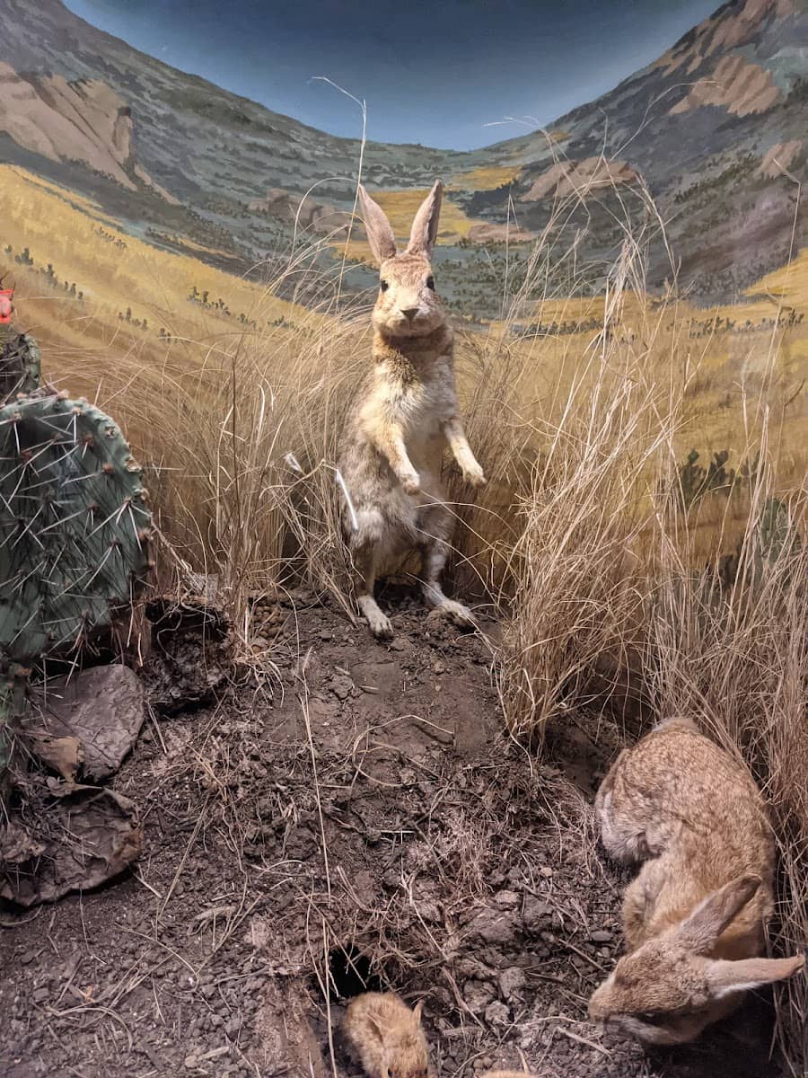 Santa Barbara Museum of Natural History, Santa Barbara