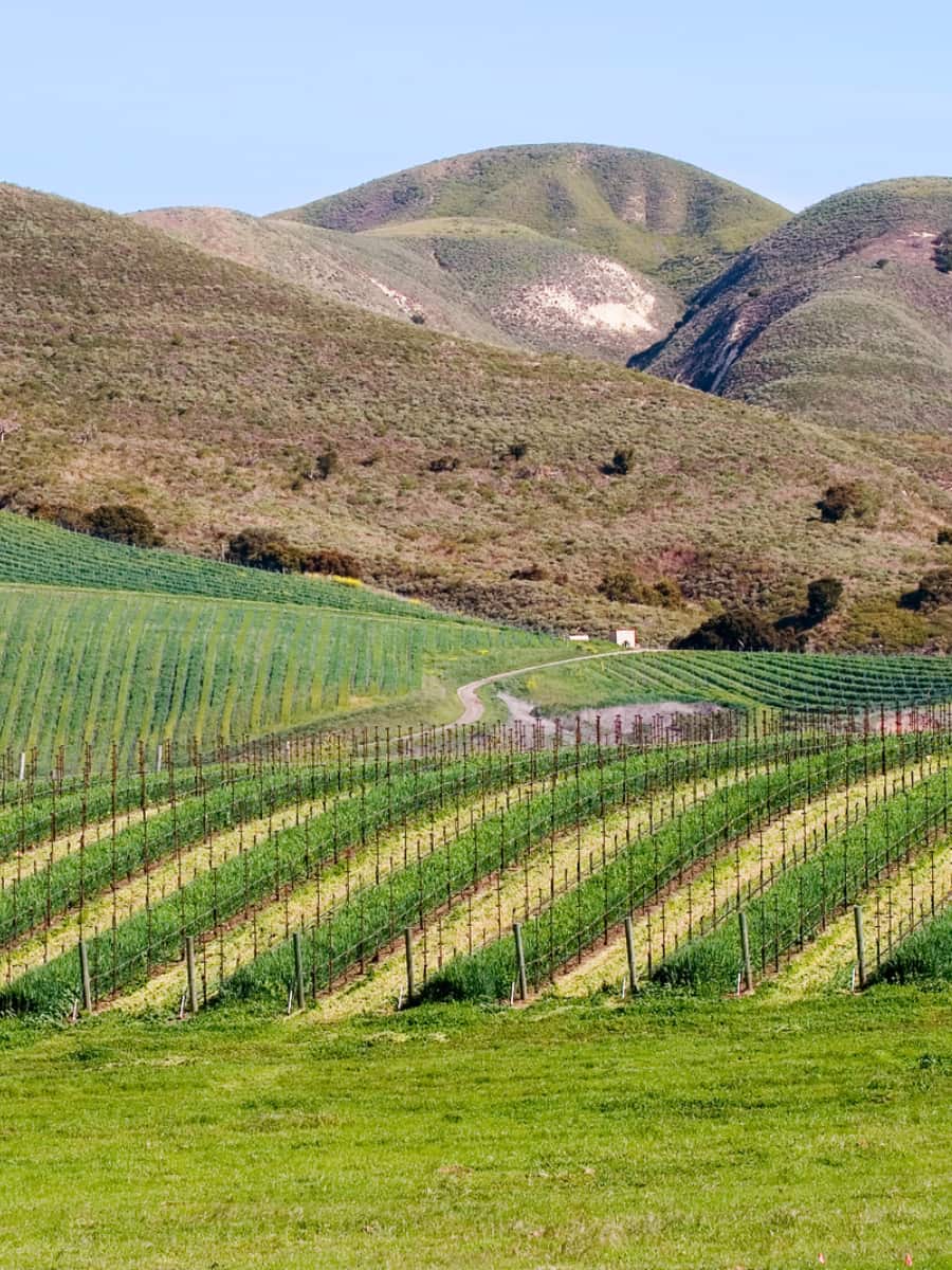 Santa Ynez Mountain, Santa Barbara