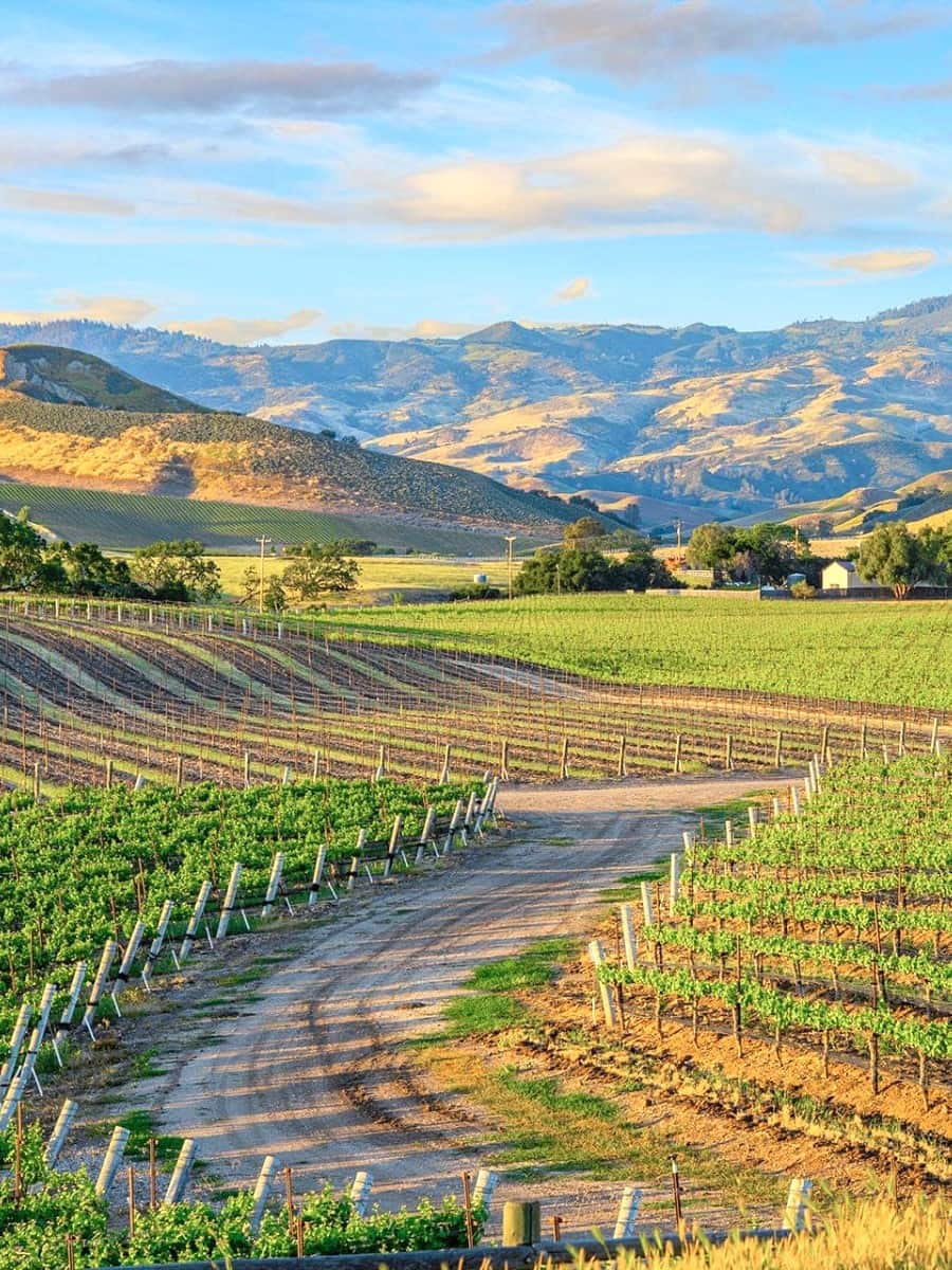 Santa Ynez Mountain, Santa Barbara