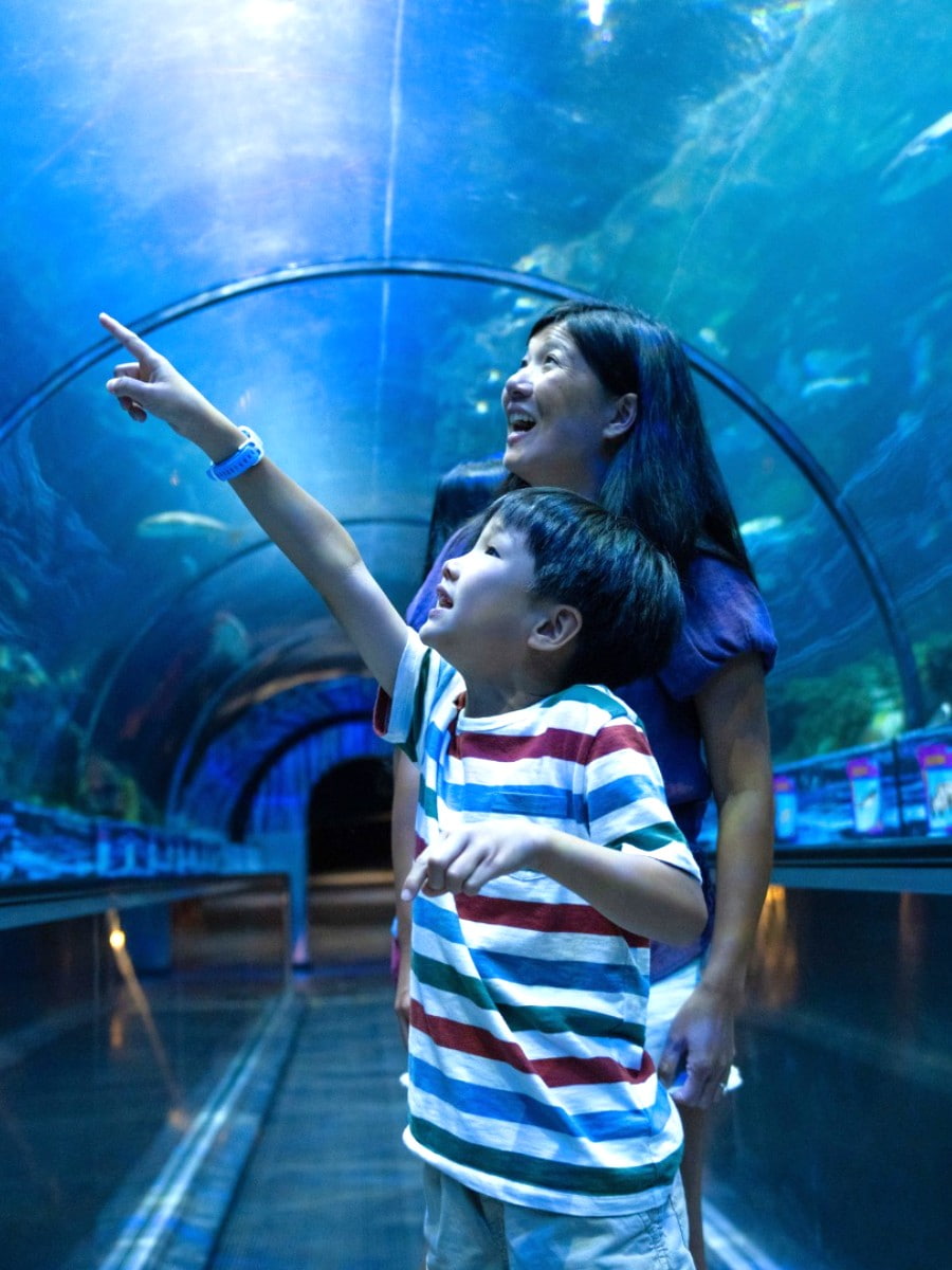 SeaWorld Orlando, Florida