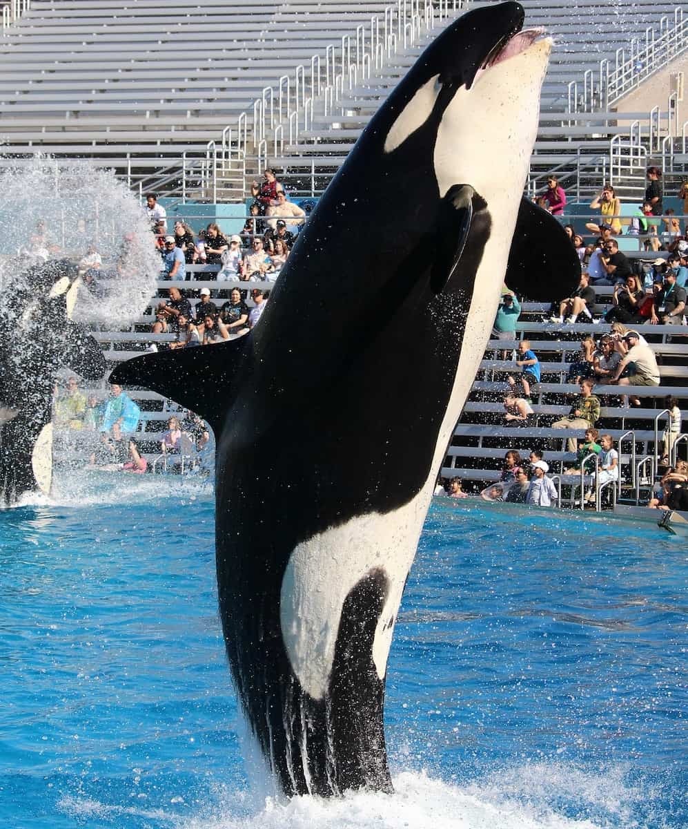 SeaWorld San Diego