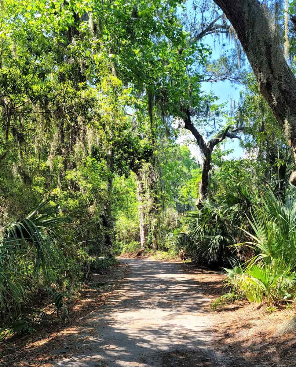 Sea Pines Forest Preserve, Hilton Head