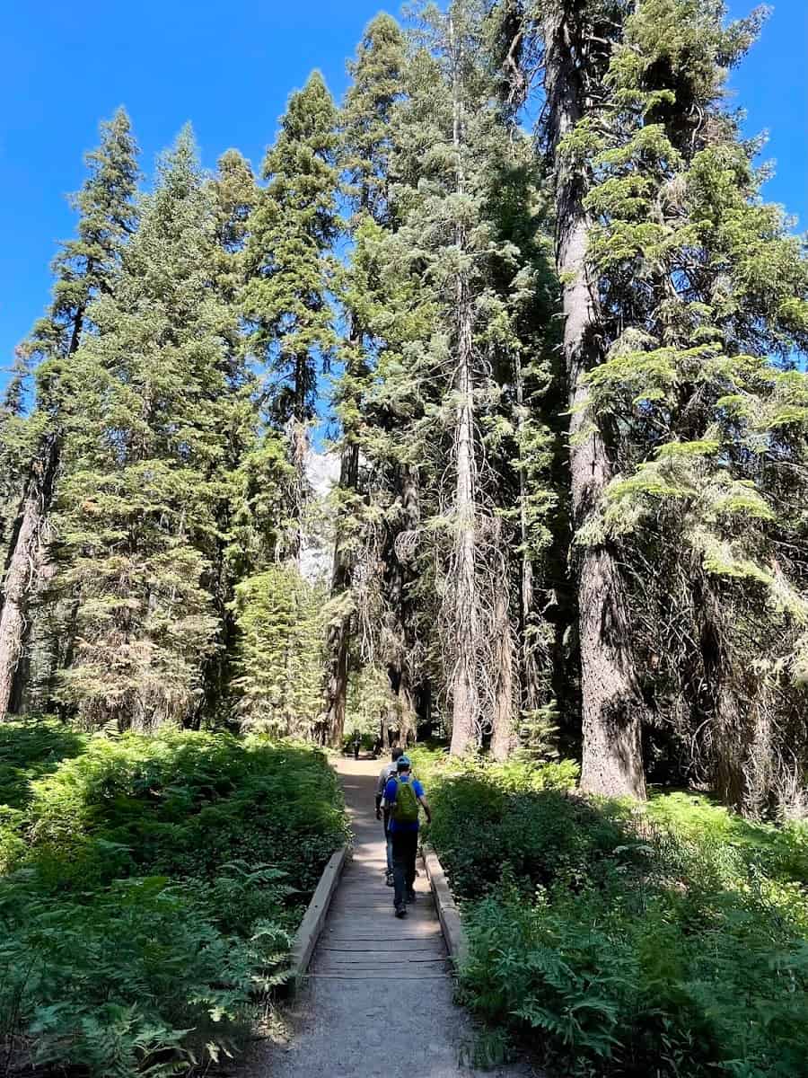 Sequoia National Park, California