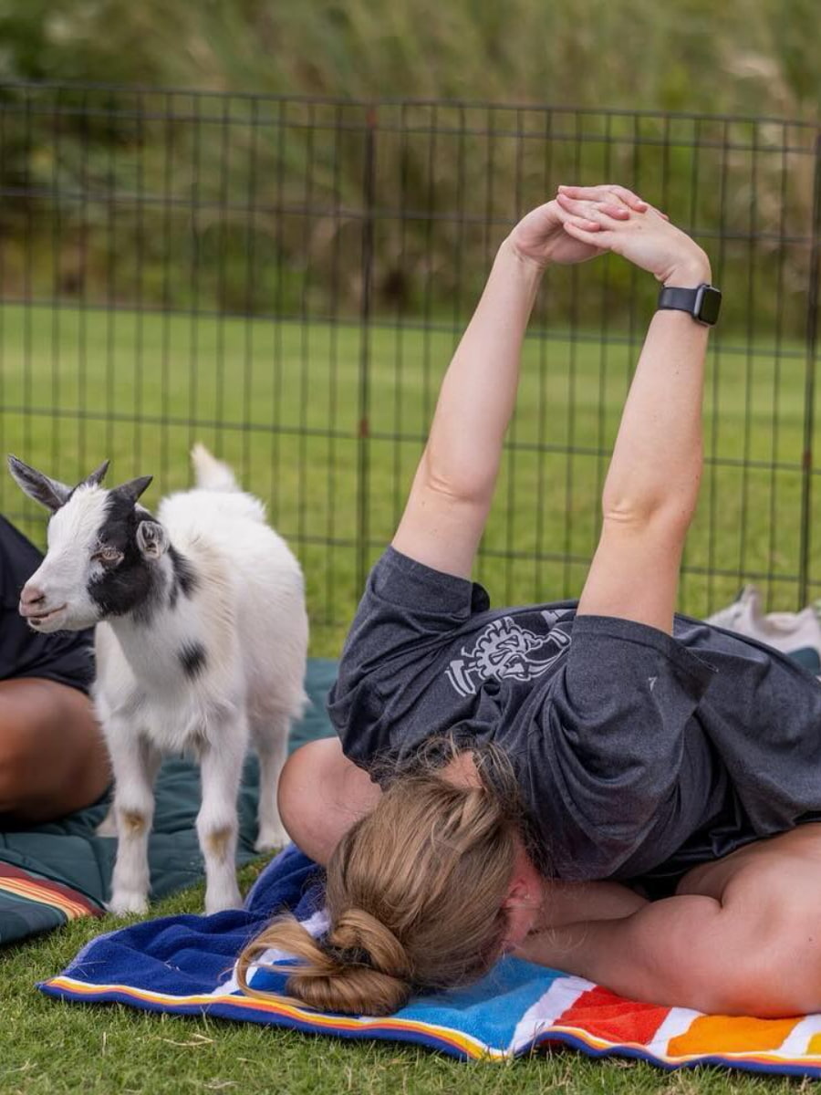 Shelby Farms Greenline, Tennessee