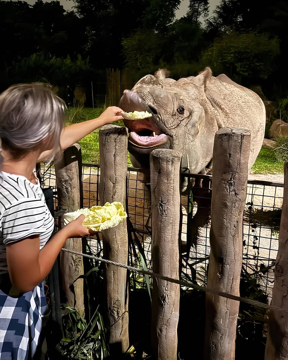 Singapore Night Safari