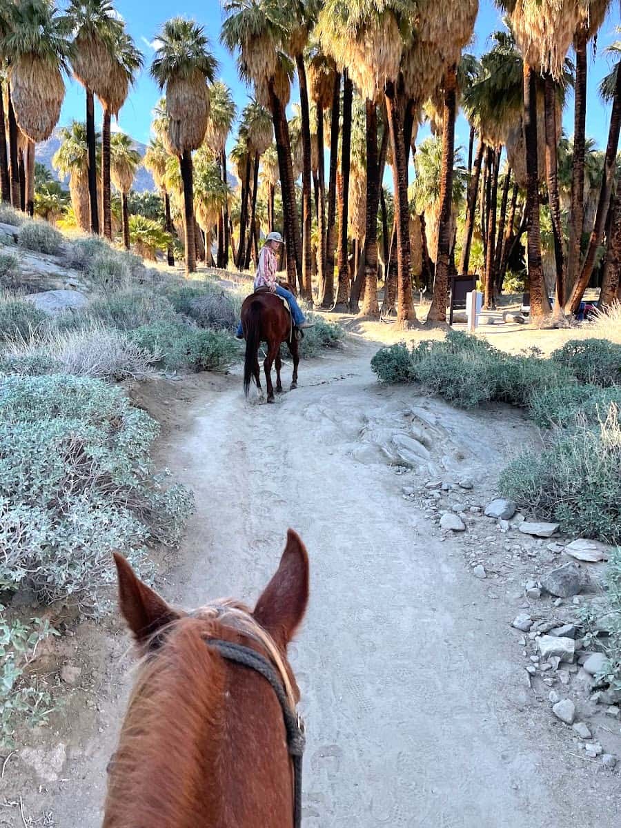 Smoke Tree Stables, Palm Springs