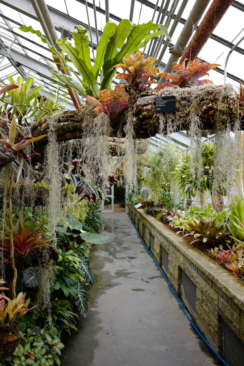 Space for Life Montreal