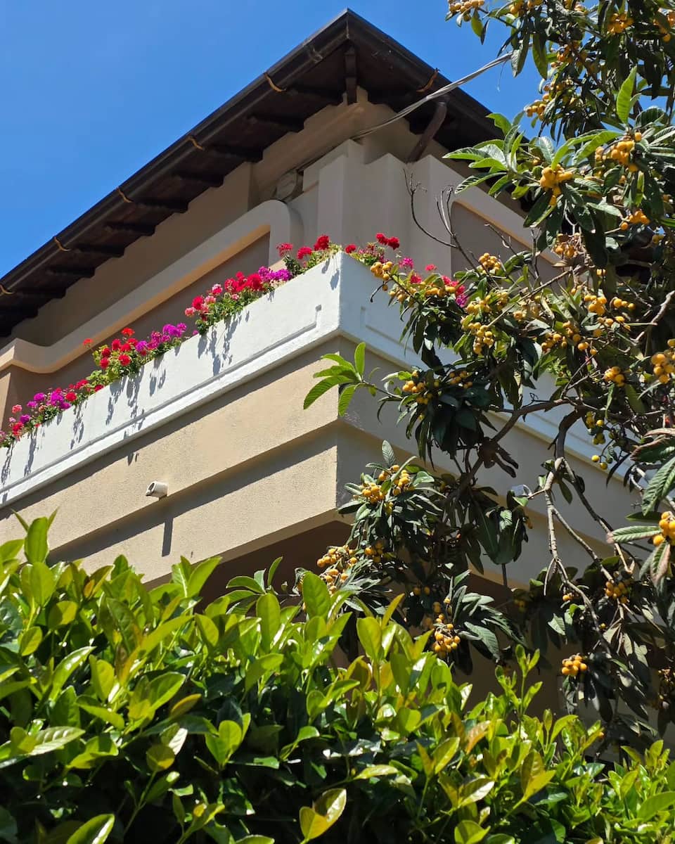 Spring Blooms, Pescara