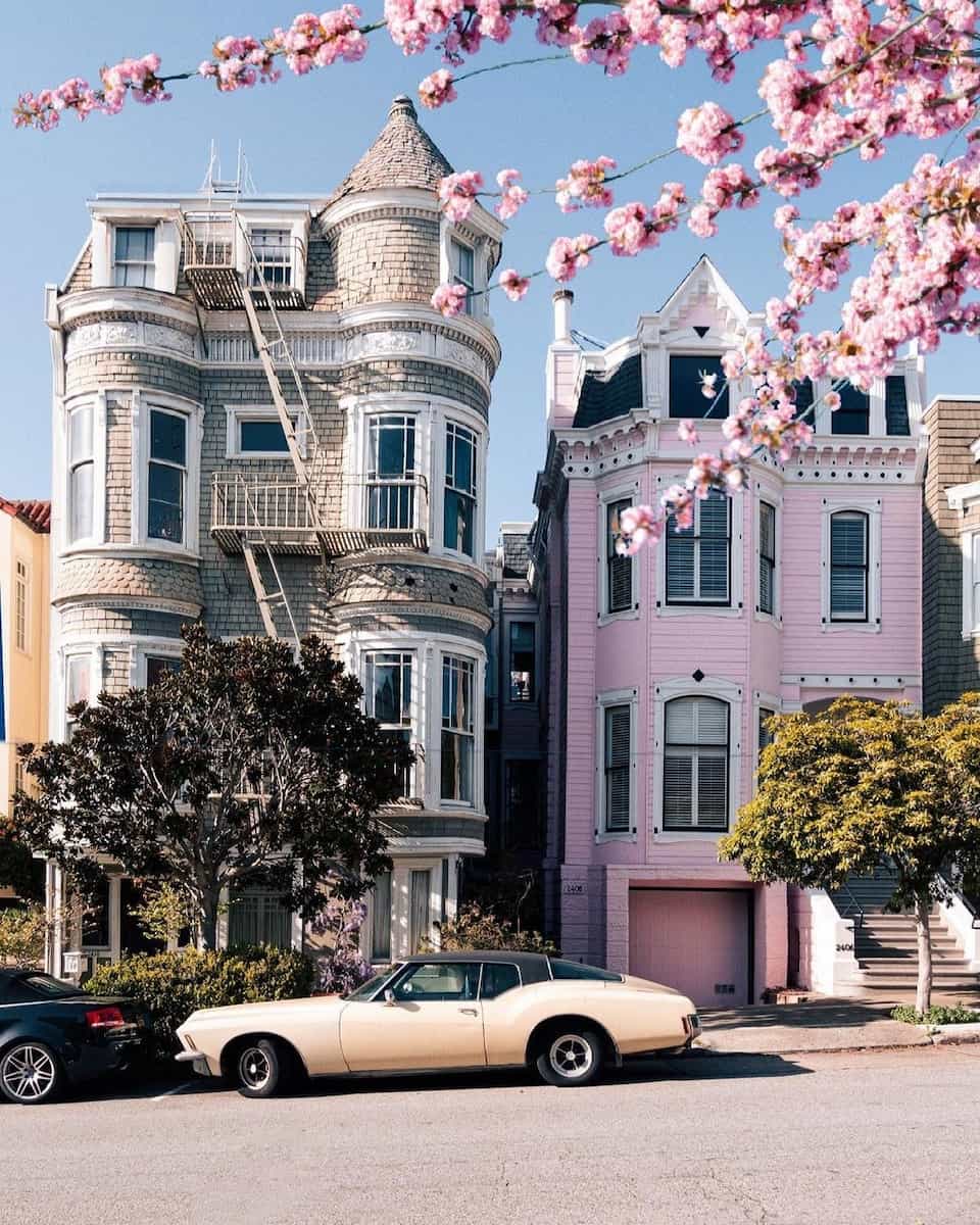 Spring blooms in San Francisco