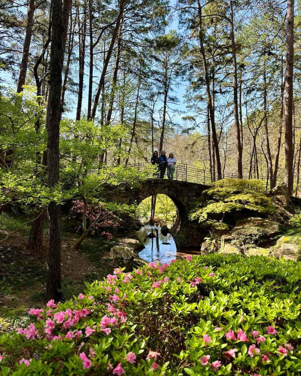 Spring in Hot Springs